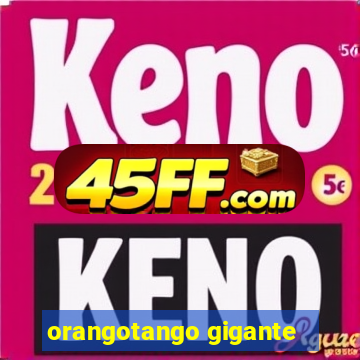 orangotango gigante